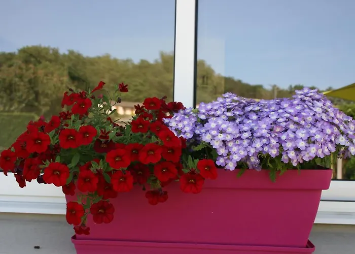 La Maison De Lena Grézillac